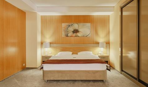 Премиум люкс двухместный