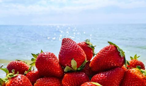 Казачий берег