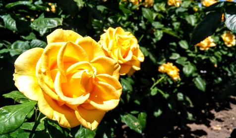 Казачий берег