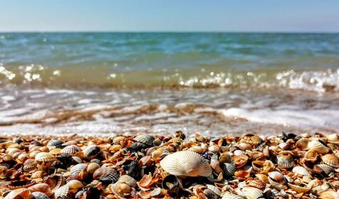 Казачий берег