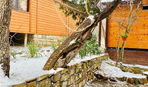 Можжевеловый рай