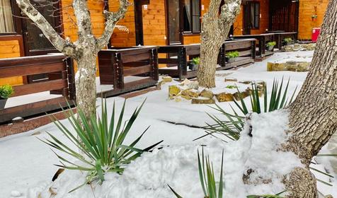 Можжевеловый рай