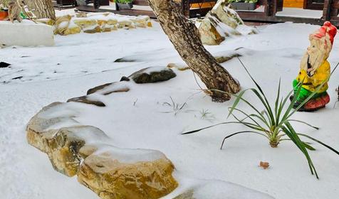 Можжевеловый рай