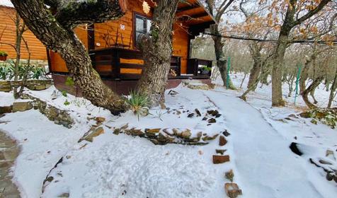 Можжевеловый рай