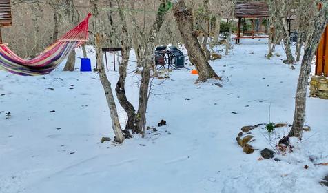 Можжевеловый рай