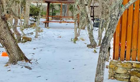 Можжевеловый рай