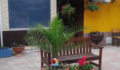 Гостиница Черномор, Туапсе, Новомихайловский