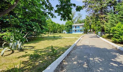 База отдыха "Олеся", Сочи, Лазаревское