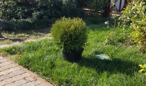 Берег Мечты