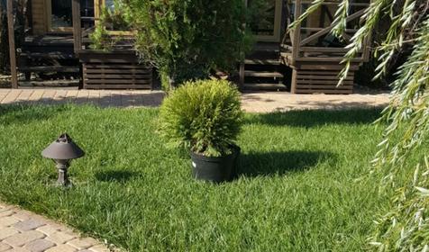 Берег Мечты