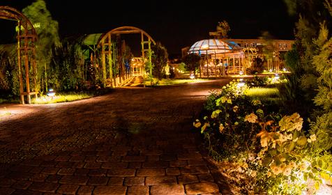 Берег Мечты