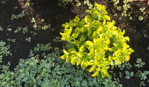 Гостевой дом Анна, Геленджик