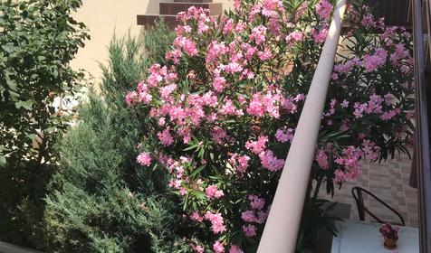 Гостевой дом Анна, Геленджик