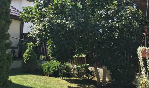 Гостевой дом Анна, Геленджик