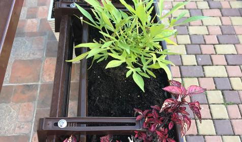 Гостевой дом Анна, Геленджик