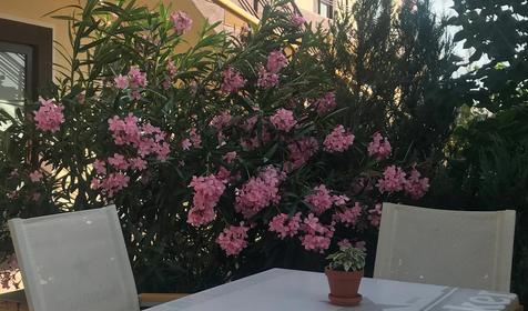 Гостевой дом Анна, Геленджик