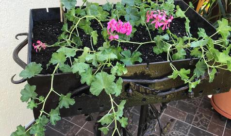 Гостевой дом Анна, Геленджик