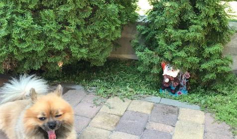 Гостевой дом Анна, Геленджик