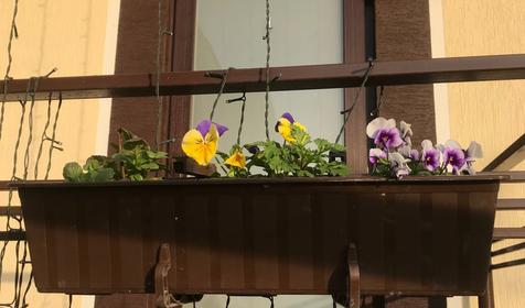 Гостевой дом Анна, Геленджик