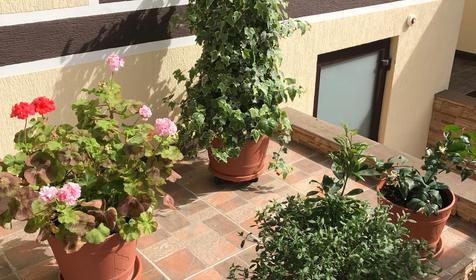 Гостевой дом Анна, Геленджик