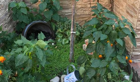 Гостевой дом Анна, Геленджик