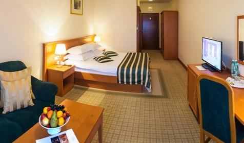 Стандарт Dbl с видом на город