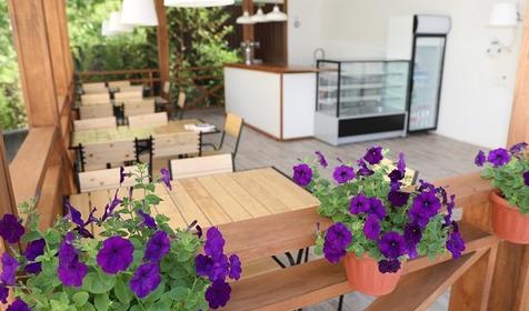 Мини-отель Камбала, Сочи, Лазаревское, Головинка