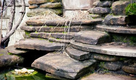 Мини-отель Уютный дворик, Сочи, Адлер