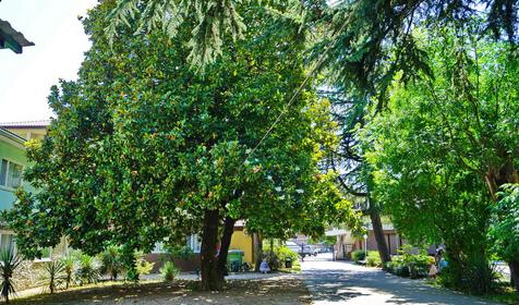 Морской бриз