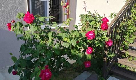 На Высотной 7