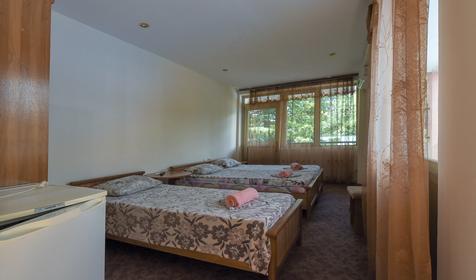 Трехместный с кондиционером