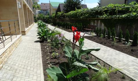 Парк-отель Слон, Сочи, Лазаревское