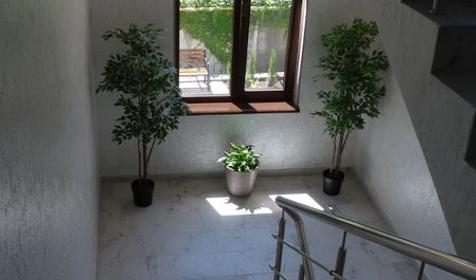 Парк-отель Слон, Сочи, Лазаревское