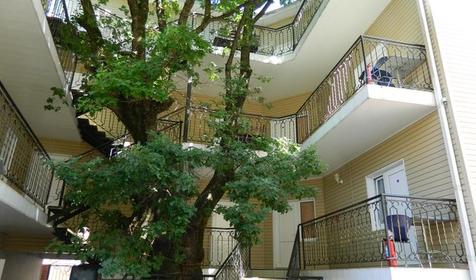 Гостевой дом Лукоморье, Геленджик