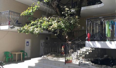 Гостевой дом Лукоморье, Геленджик