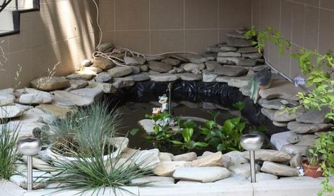 Гостевой дом Лукоморье, Геленджик