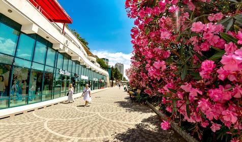 Апарт-отель Sharden, Сочи