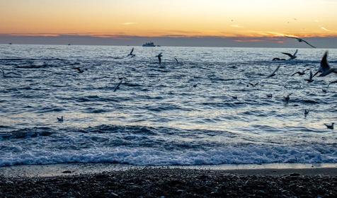 Апарт-отель Sharden, Сочи