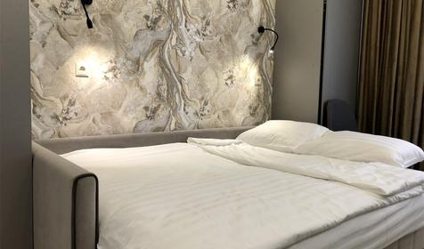 Апартаменты комфорт двухместный с диваном (корпус 1)