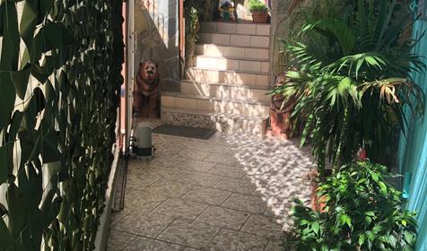 Частный дом Евгений, Сочи, Лазаревское