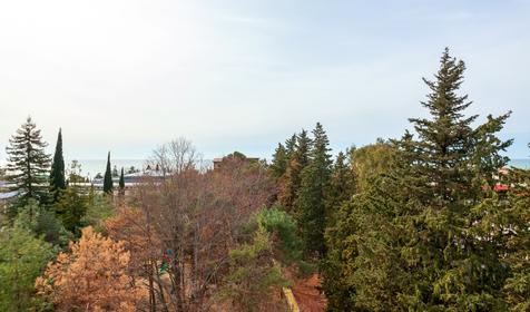 Grace Crystal (Грейс Кристалл)