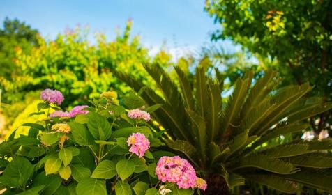 Отель Арина, Сочи, Лоо