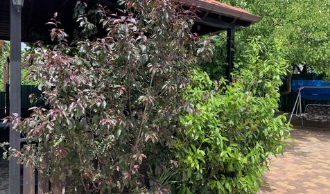 Мини-отель Лагуна, г. Геленджик, п. Кабардинка