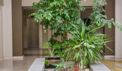 Пансионат Изумруд, Сочи, Адлер