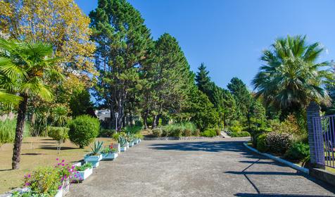 Пансионат Изумруд, Сочи, Адлер