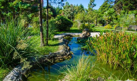 Пансионат Изумруд, Сочи, Адлер