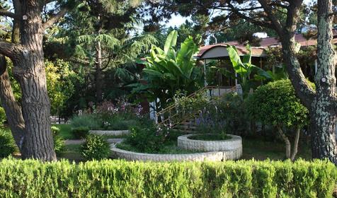 Пансионат Изумруд, Сочи, Адлер