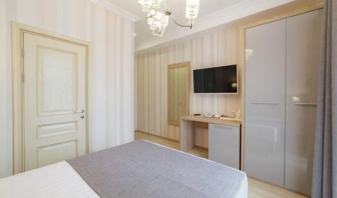 Standard 1-местный 1-комнатный StSgl