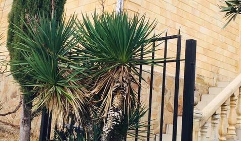 Гостиничный комплекс Верона, Сочи, Вардане