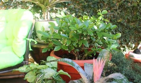 Двухкомнатный семейный